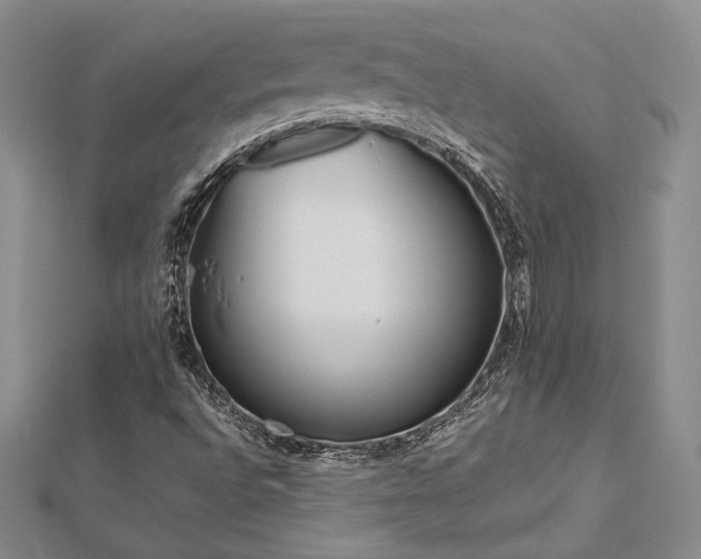 X0000113031496200908271443