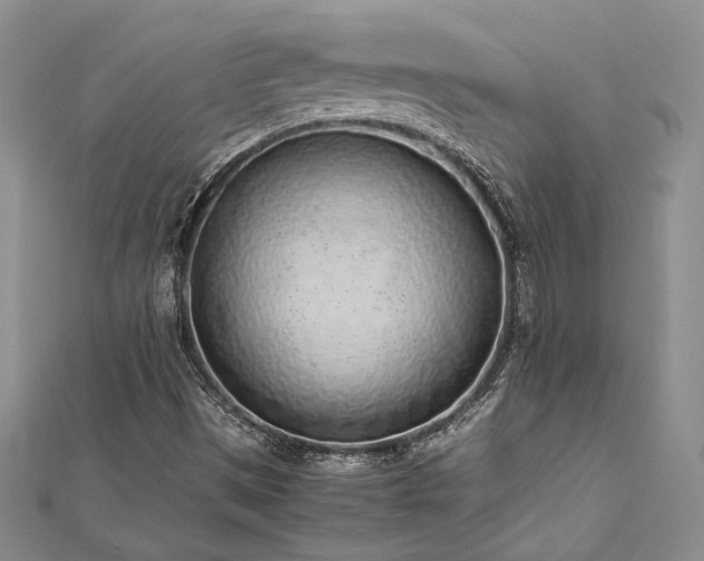 X0000113031497200908271443