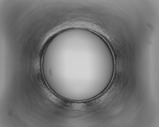 X0000113031498200908271443