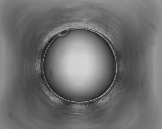 X0000113031499200908271443