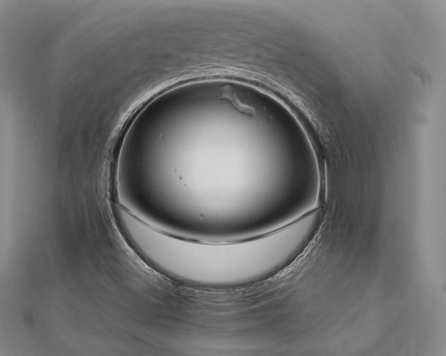 X0000113031500200908271443