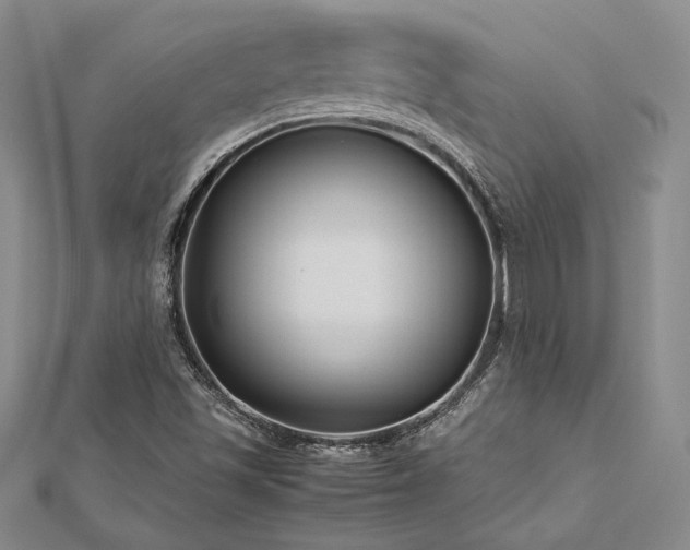 X0000113031501200908271444