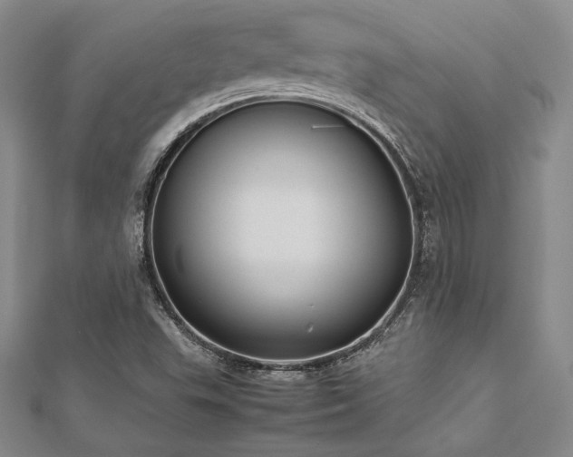 X0000113031503200908271444