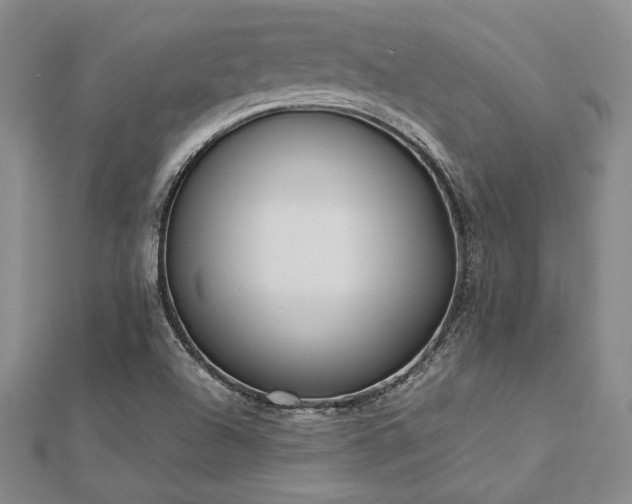 X0000113031504200908271444