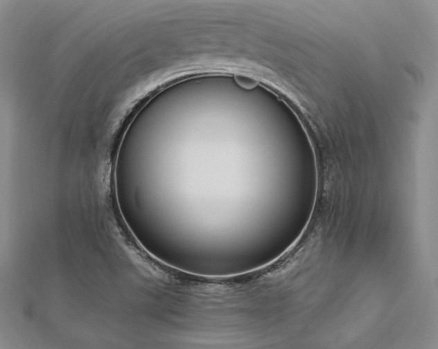 X0000113031507200908271444