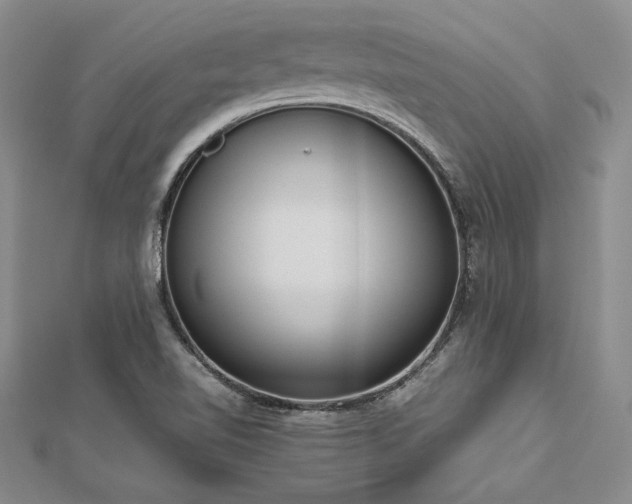 X0000113031510200908271444