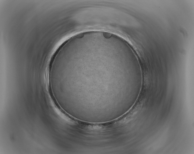 X0000113031515200908271444