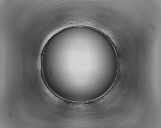 X0000113031516200908271444