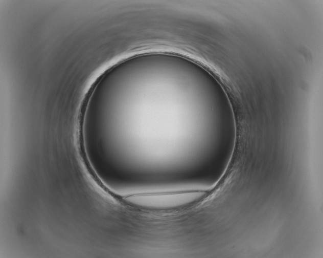 X0000113031518200908271444