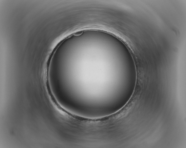 X0000113031519200908271444