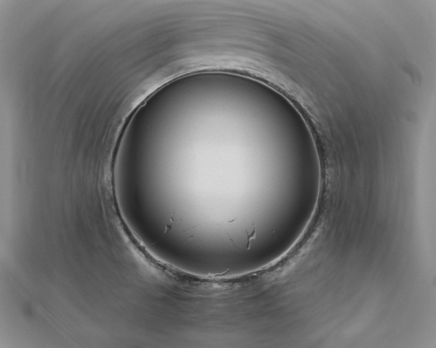 X0000113031521200908271444