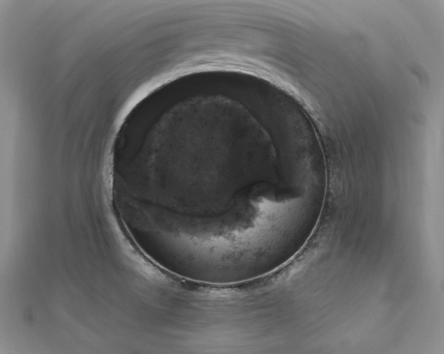 X0000113031522200908271444