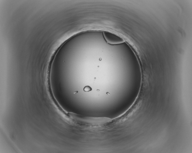 X0000113031525200908271444