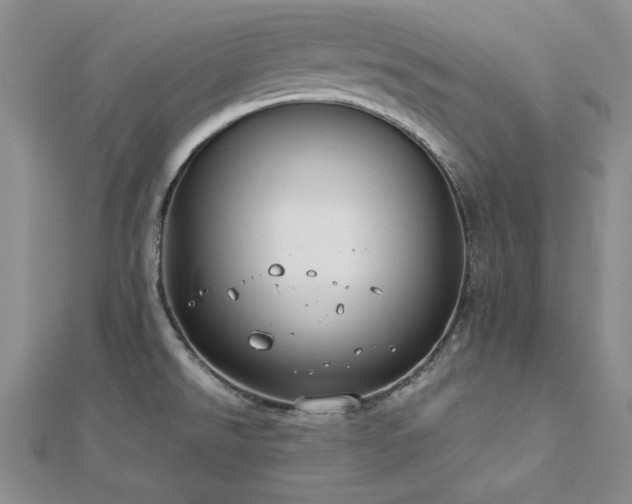 X0000113031526200908271444