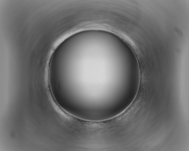 X0000113031528200908271444