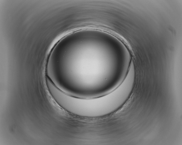 X0000113031530200908271444