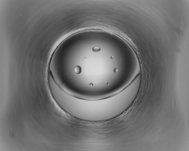 X0000113031536200908271444