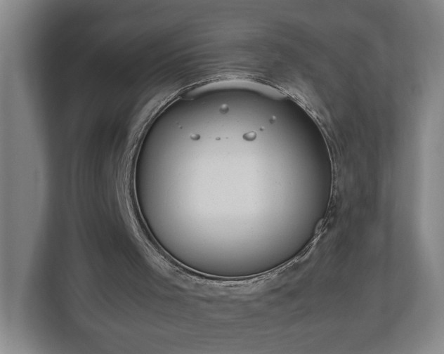 X0000113030001200909031301