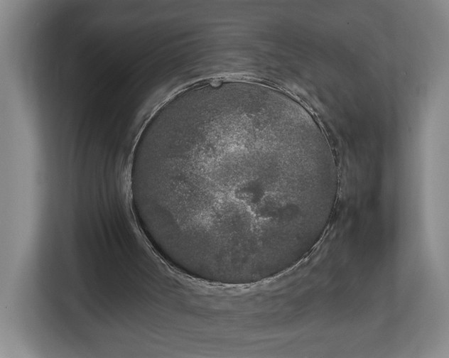 X0000113030002200909031301