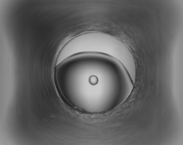 X0000113030003200909031301