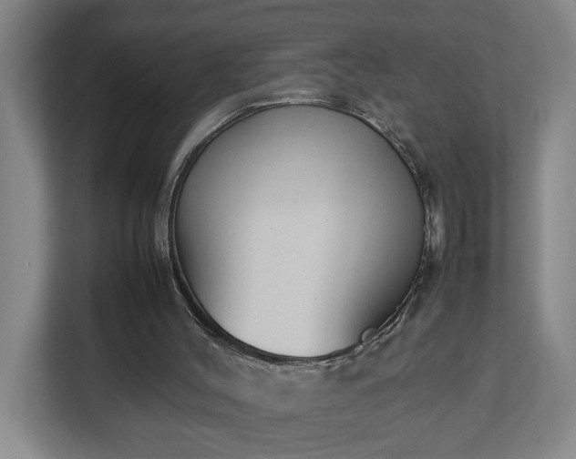 X0000113030004200909031301