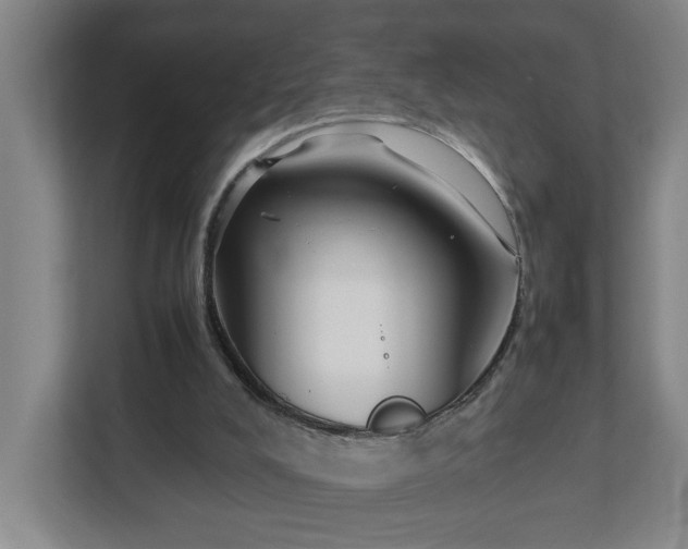 X0000113030008200909031301