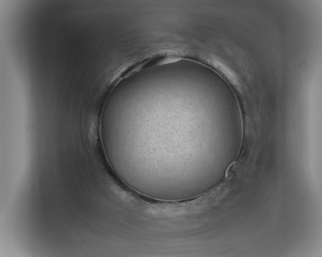 X0000113030009200909031301