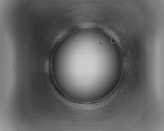 X0000113030010200909031301