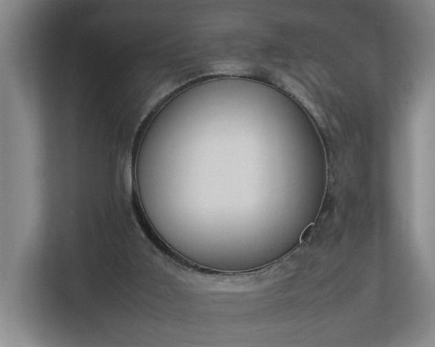 X0000113030011200909031301