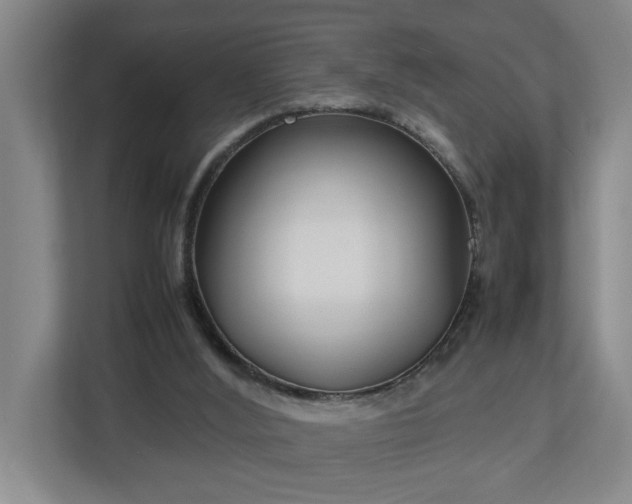 X0000113030012200909031301