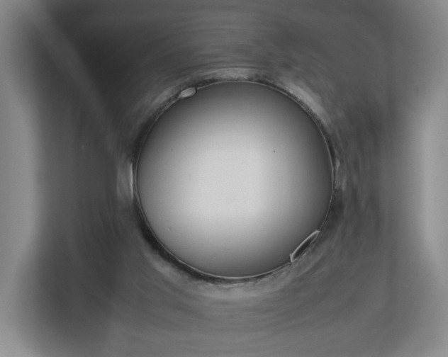 X0000113030013200909031301