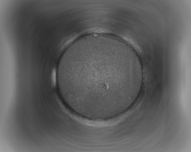 X0000113030014200909031301