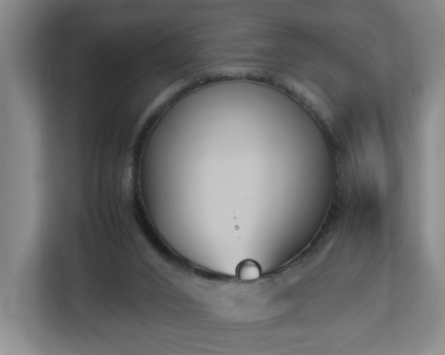 X0000113030016200909031301