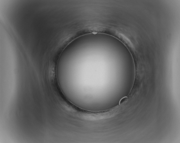 X0000113030017200909031301