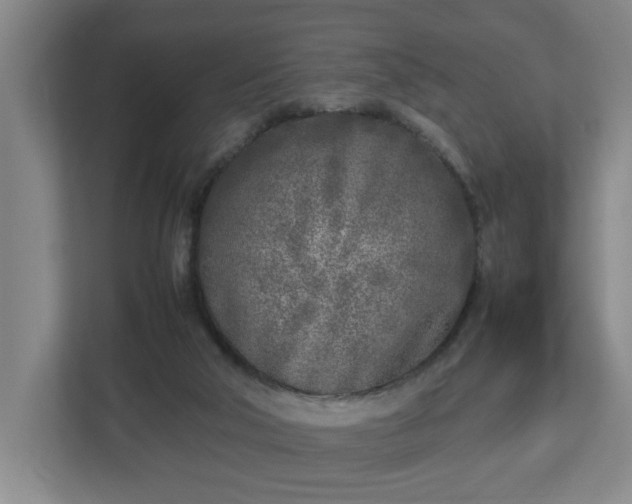 X0000113030018200909031301