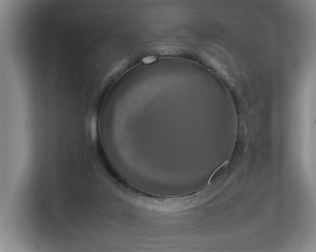 X0000113030019200909031301