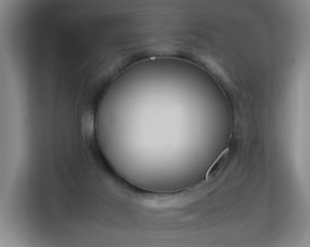 X0000113030021200909031301