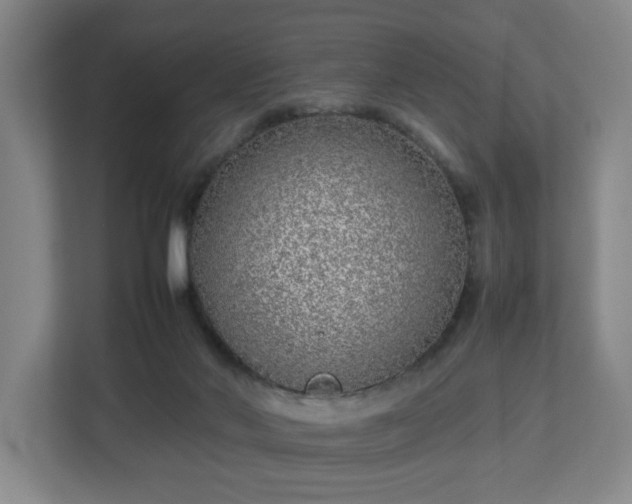 X0000113030022200909031301