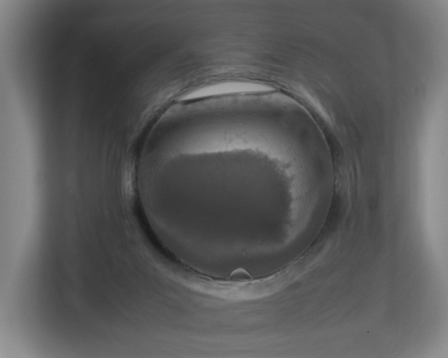 X0000113030023200909031300