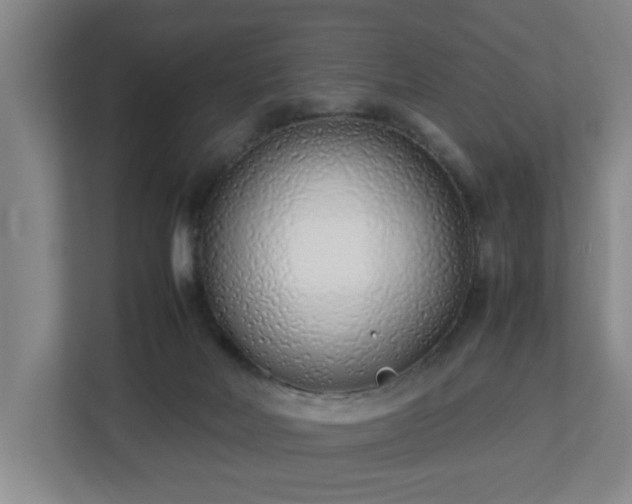 X0000113030026200909031300