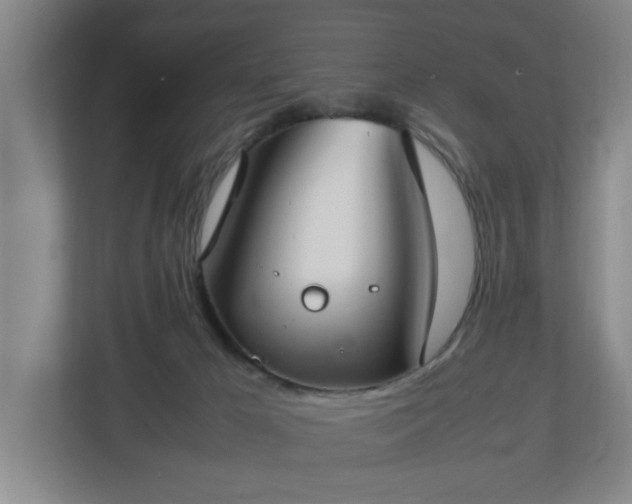 X0000113030029200909031300