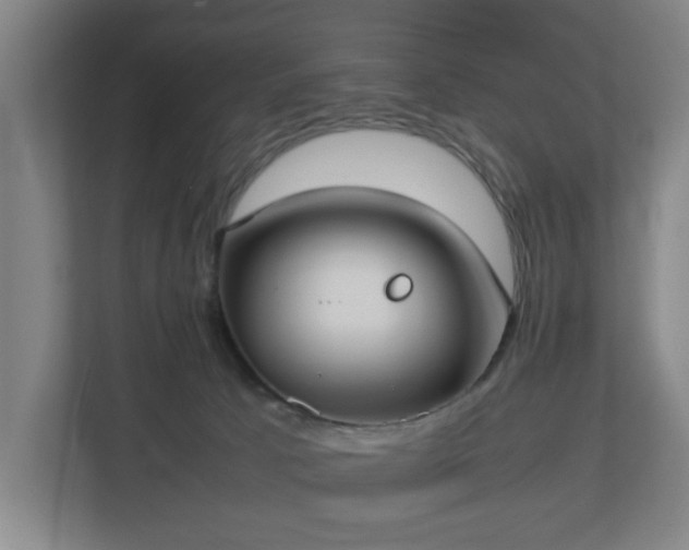 X0000113030033200909031300