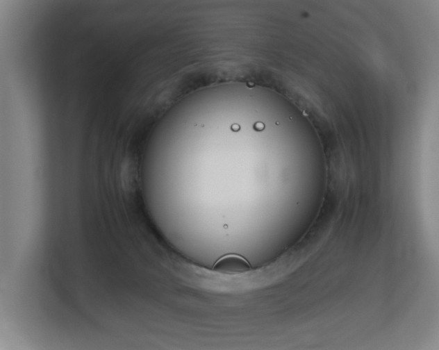 X0000113030034200909031300