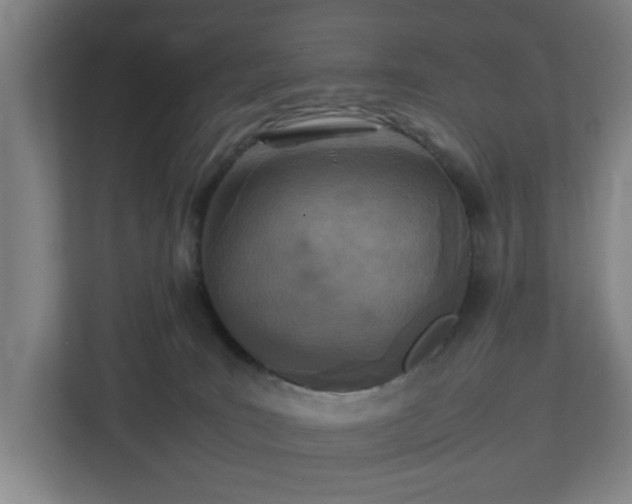 X0000113030035200909031300