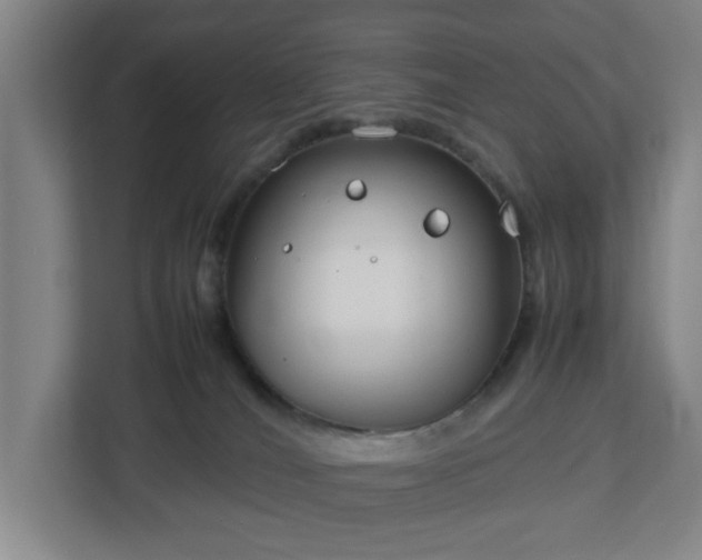 X0000113030036200909031300