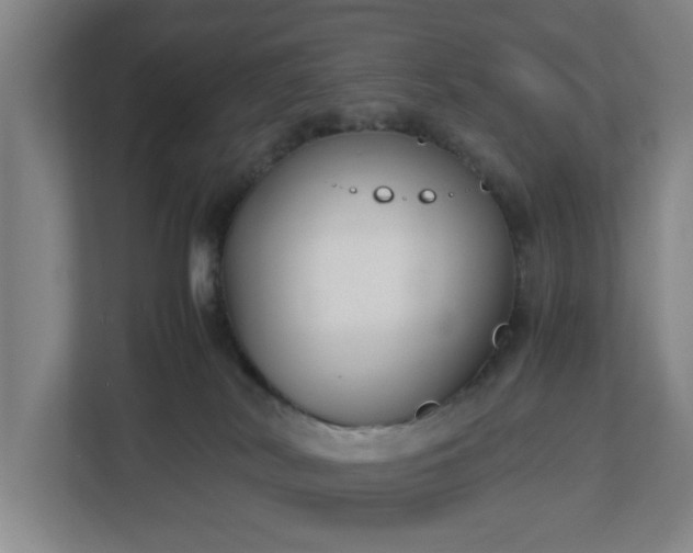 X0000113030038200909031300