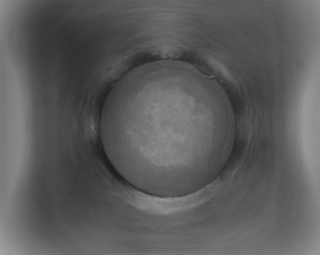 X0000113030039200909031300