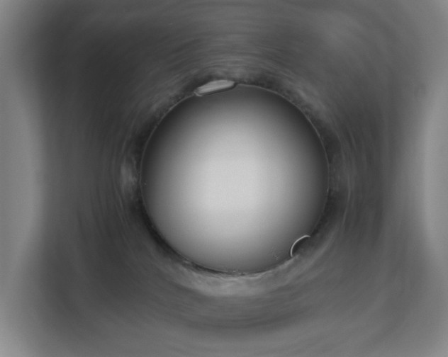 X0000113030040200909031300