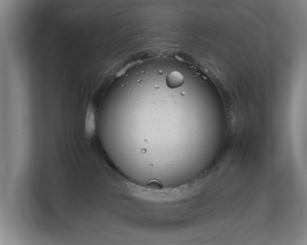 X0000113030042200909031300