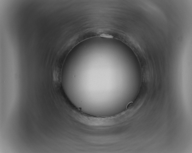 X0000113030044200909031300